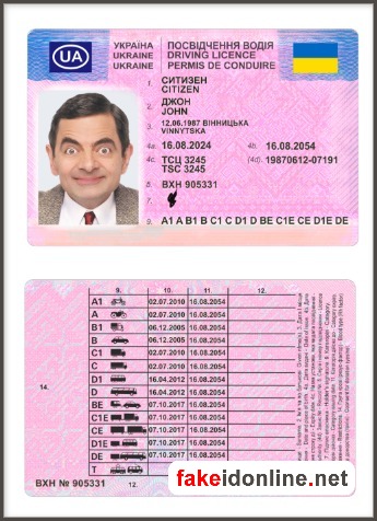 Ukraine Driver License PSD Template